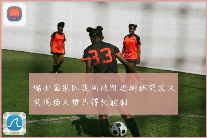 瑞士国家队集训地附近树林突发火灾现场火势已得到控制