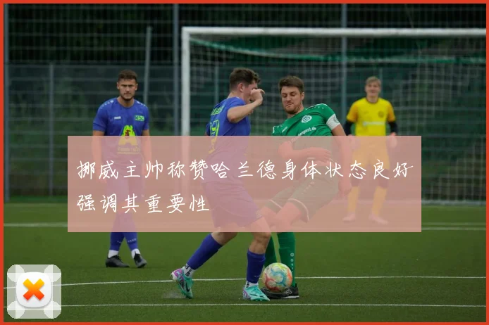 挪威主帅称赞哈兰德身体状态良好强调其重要性