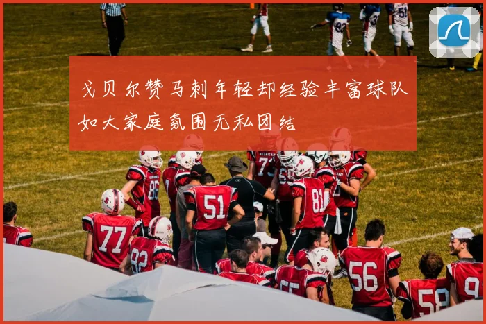 戈贝尔赞马刺年轻却经验丰富球队如大家庭氛围无私团结